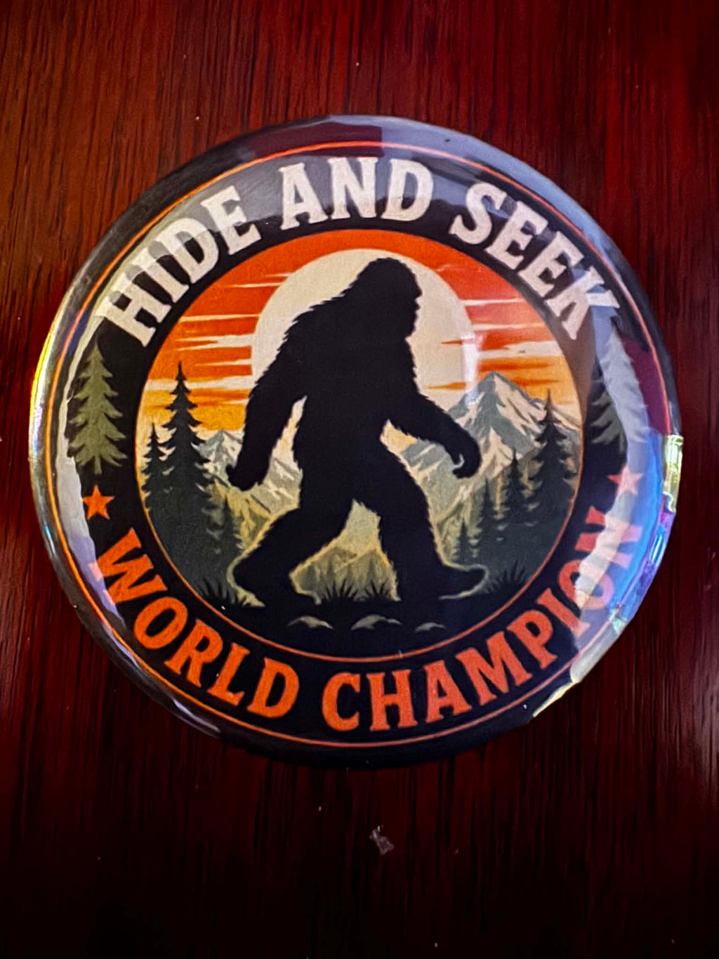 HIDE AND SEEK WORLD CHAMPION