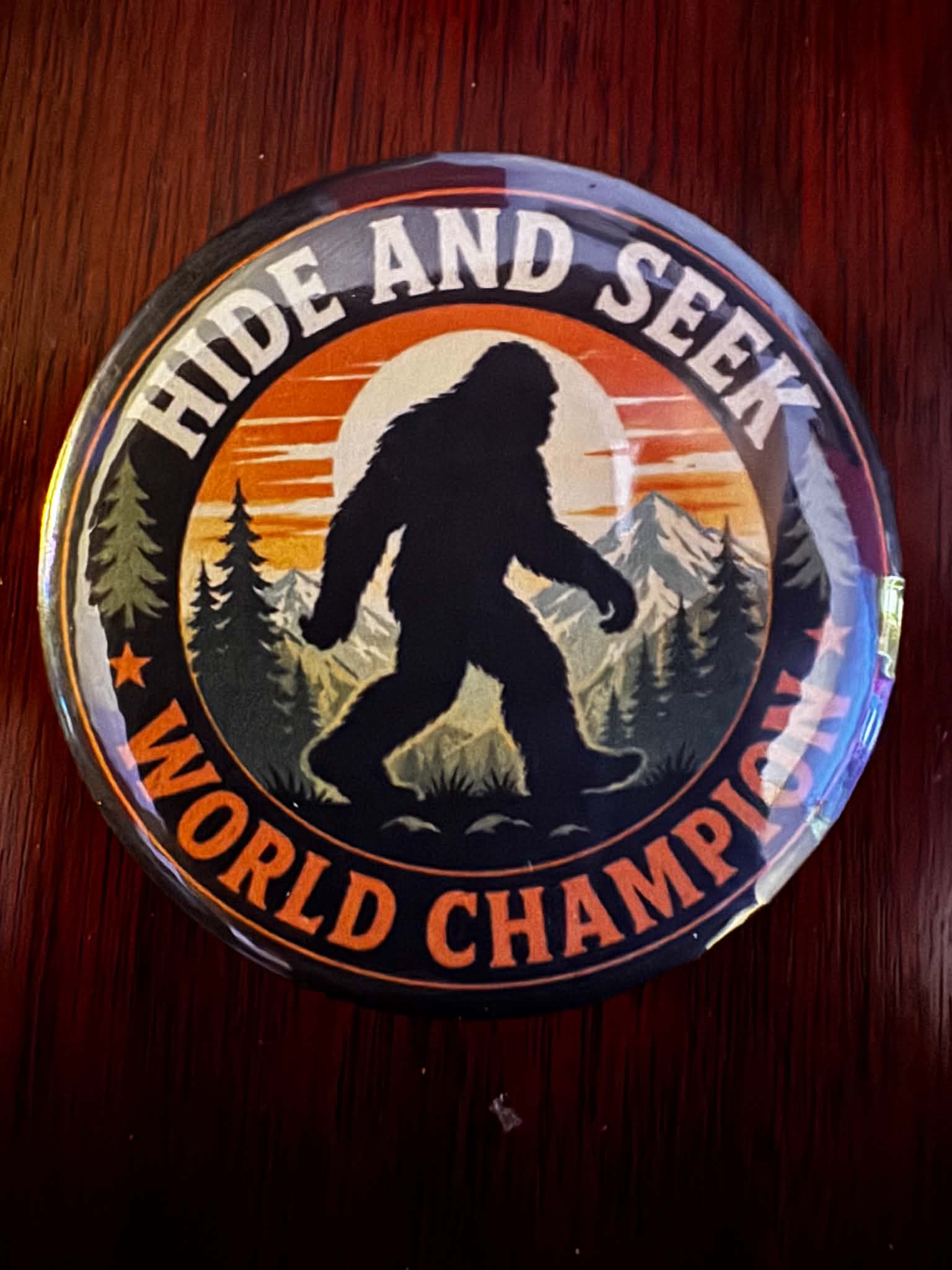 HIDE AND SEEK WORLD CHAMPION